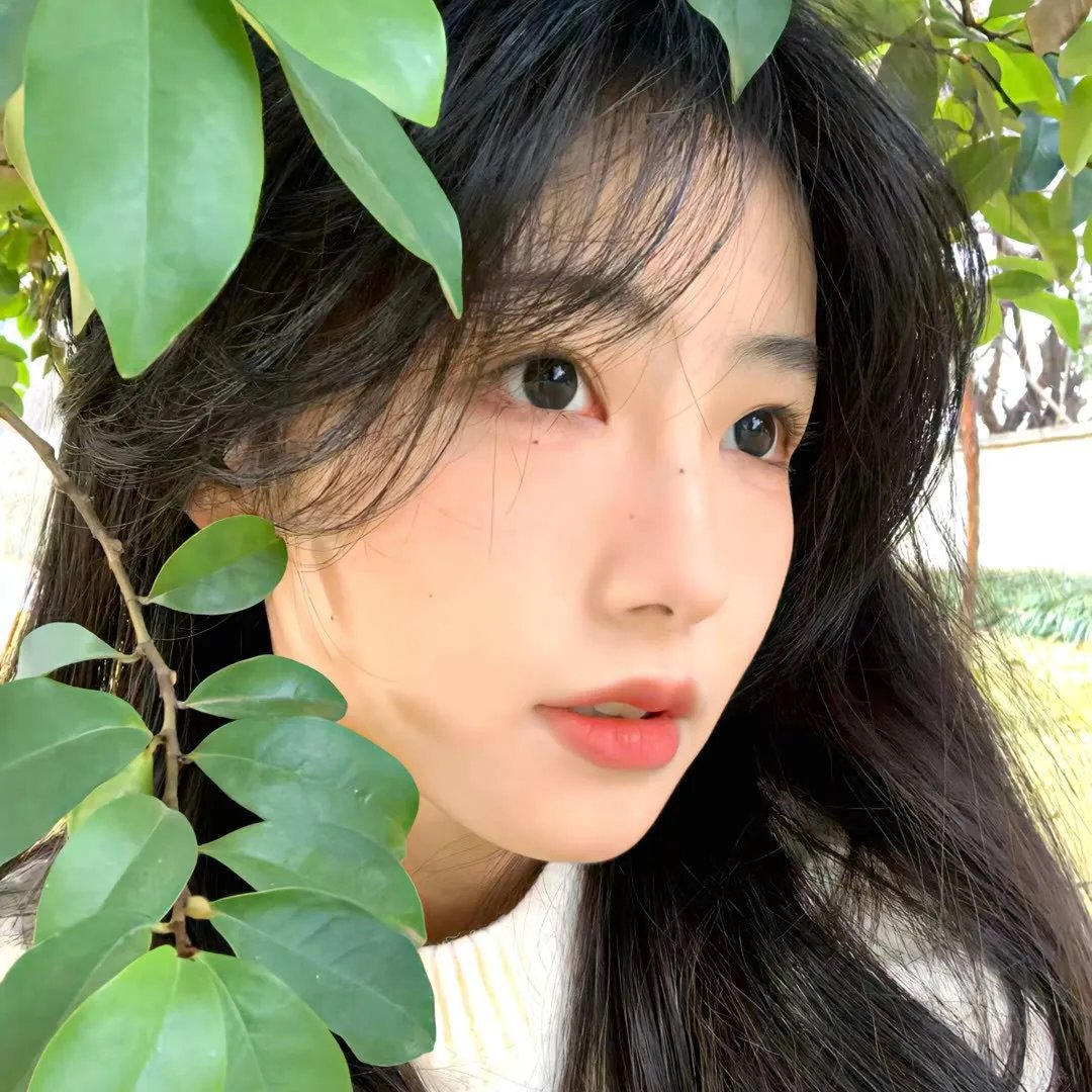 剧情天地
